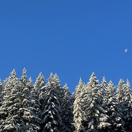 Ferienwohnung Kuckucksnest Bad Wildbad Esterno foto