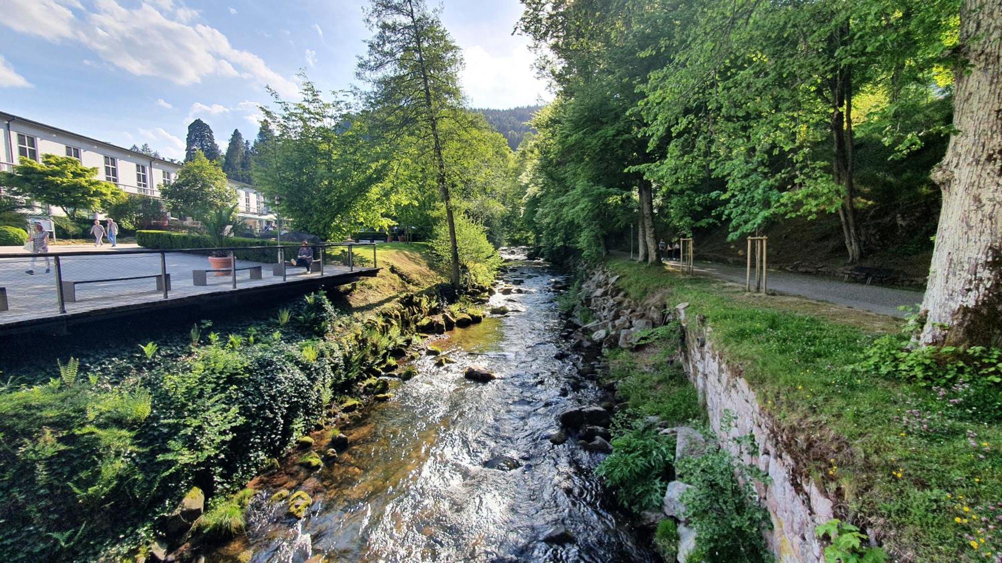 Ferienwohnung Kuckucksnest Bad Wildbad Esterno foto