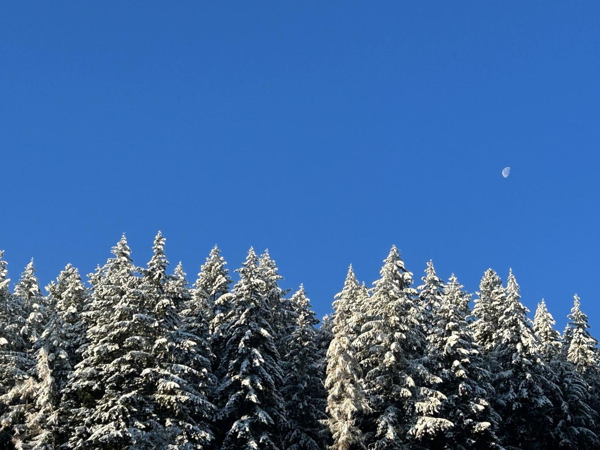 Ferienwohnung Kuckucksnest Bad Wildbad Esterno foto