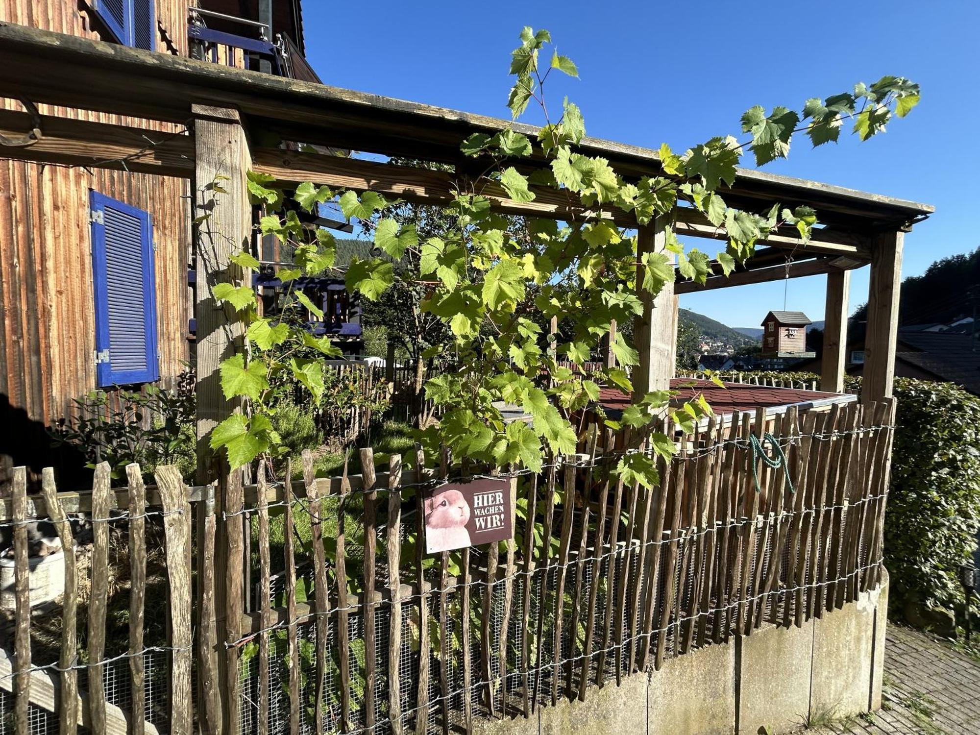 Ferienwohnung Kuckucksnest Bad Wildbad Esterno foto